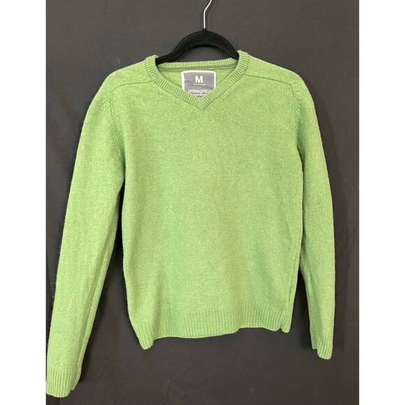 Women's Springfield Wool Sweater, Green, Vneck, Medium, Warm, Winter - Picture 1 of 8
